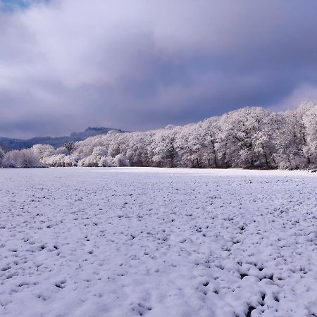 デュルビュイ Cent Trente Bed & Breakfast エクステリア 写真